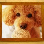 無料「写真加工.com」の全ツール|これを見て画像加工のイメージを掴め