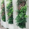 オフィスで評判の壁面緑化をご自宅で。植物のパワーで癒し空間を。