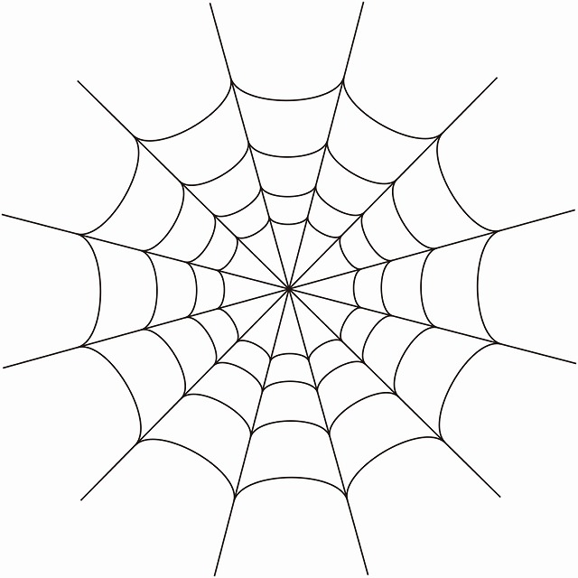 蜘蛛の巣のイラスト
