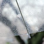 傘のシェアって知ってる?煩わしいことなしでエコにも貢献!