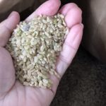 福岡市東区でコイン精米機「こめ太郎」を使ってみた