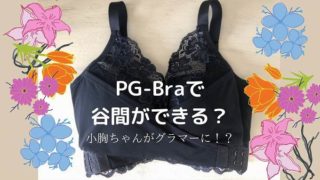 【PG-Braの口コミ】ナイトブラの効果は高い?お得なクーポン情報