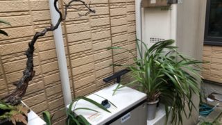 エコウィル26Eエラー表示・10年使用してガス代はお得だったのか検証してみた結果…