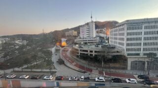 韓国のトコジラミってそんなに酷い?世宗(セジョン)ホテルに宿泊した結果…