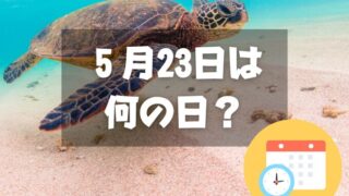 ５月23日は何の日？世界カメの日｜その他記念日・誕生日まとめ