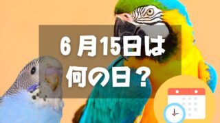 ６月15日は何の日？オウムとインコの日｜その他記念日・誕生日まとめ