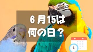 ６月15日は何の日？オウムとインコの日｜その他記念日・誕生日まとめ