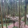 糸島・森のカフェ「白糸の森」は絶景ツリーハウス！森に椅子を運ぶ？新しいカフェスタイル