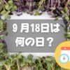 ９月18日は何の日？かいわれ大根の日｜その他記念日・誕生日まとめ