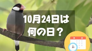 10月24日は何の日？文鳥の日｜その他記念日・誕生日まとめ