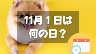 11月１日は何の日？犬の日｜その他記念日・誕生日まとめ