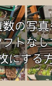 ソフトなしで複数の写真を１枚にする最もシンプルな方法（Windows11)
