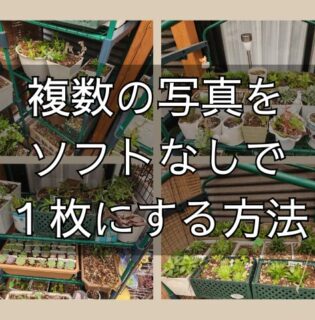 ソフトなしで複数の写真を１枚にする最もシンプルな方法（Windows11)