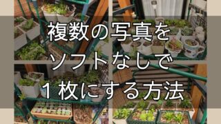 ソフトなしで複数の写真を1枚にする最もシンプルな方法(Windows11)