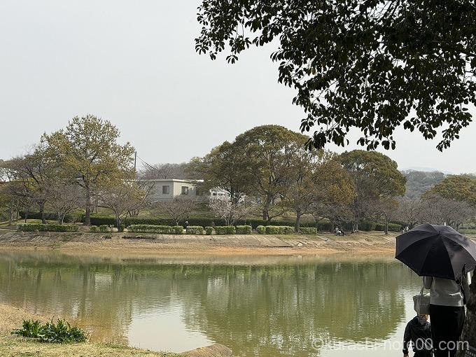 駕与丁公園
