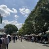 風の市場〜筥崎宮蚤の市〜で見つけたアンティークなフェンスで庭の青写真を構想中