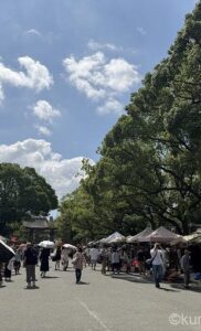 風の市場〜筥崎宮蚤の市〜で見つけたアンティークなフェンスで庭の青写真を構想中