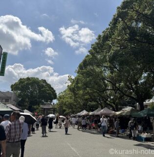 風の市場〜筥崎宮蚤の市〜で見つけたアンティークなフェンスで庭の青写真を構想中