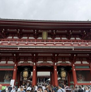 東京で過ごす週末｜東京都庁・浅草・スカイツリー・高円寺・吉祥寺